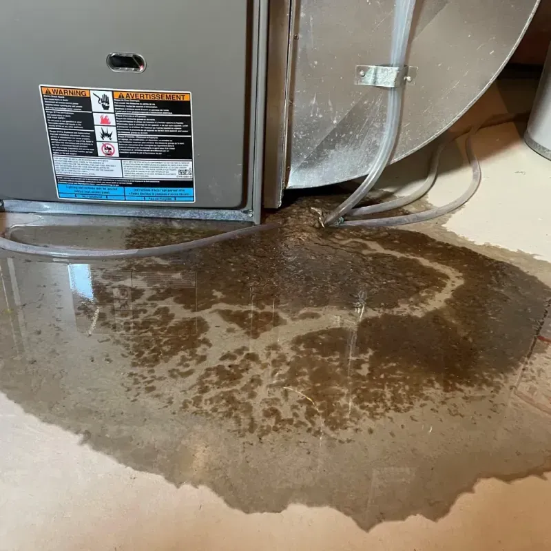 Appliance Leak Cleanup in Kings Mountain, NC